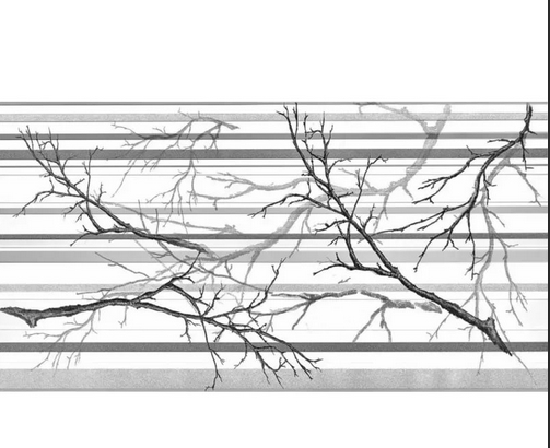 Пан Декокам  ВЕТКА СЕРАЯ